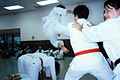 2004 Photos